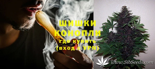 МДПВ Богородицк