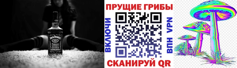 Галлюциногенные грибы мицелий  Зима 