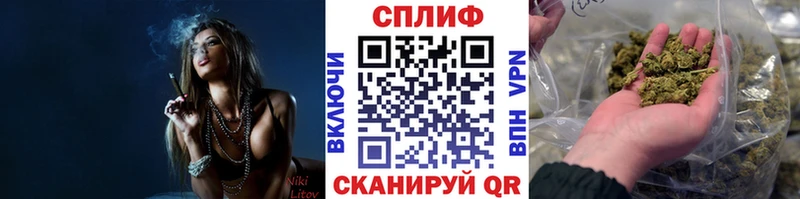 Конопля гибрид  Зима 
